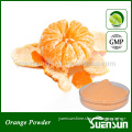 Hot sell orange juice wholesale powder